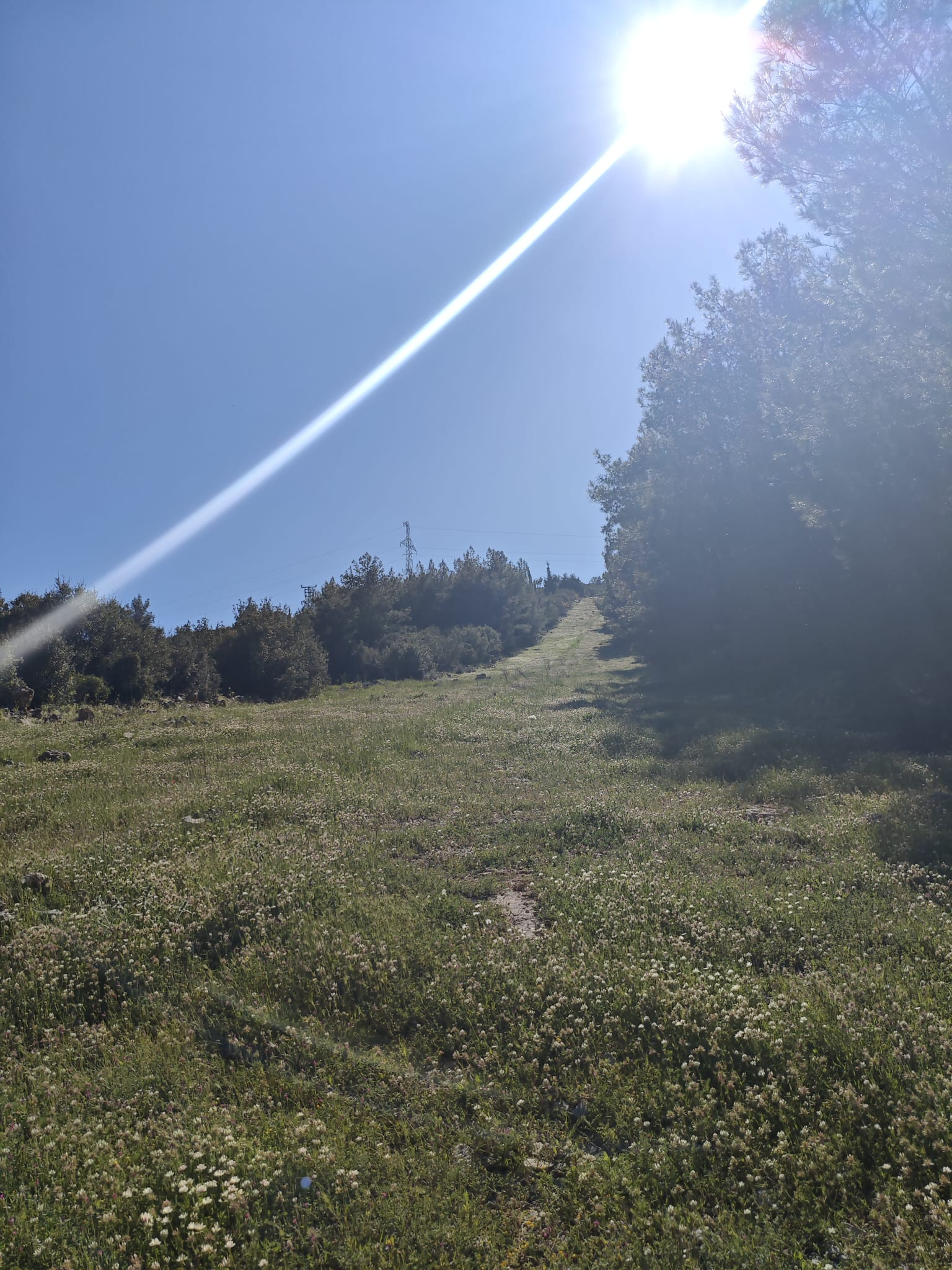 The mountain